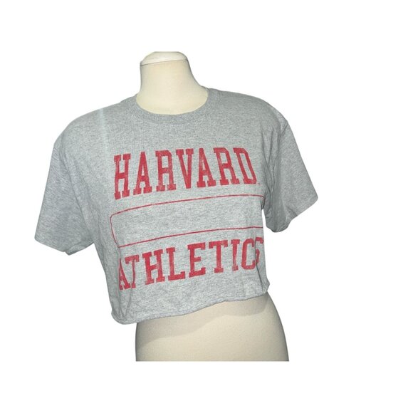 Harvard Tops - Harvard Athletics Gray Crop Top T-Shirt Womens Sz Large 100% Cotton Casual Light